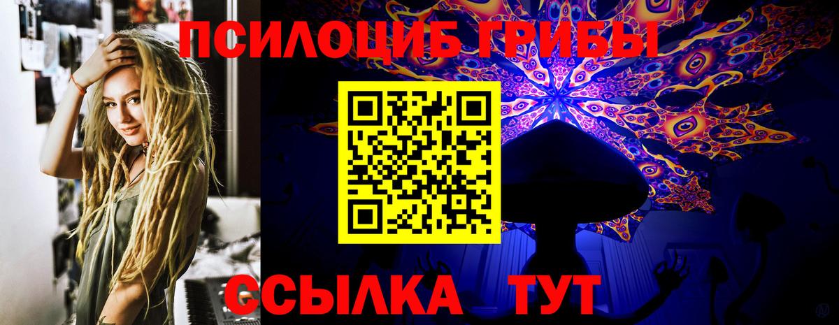 Псилоцибиновые грибы GOLDEN TEACHER  Псилоцибиновые грибы мицелий  Вход с VPN  Лесозаводск 