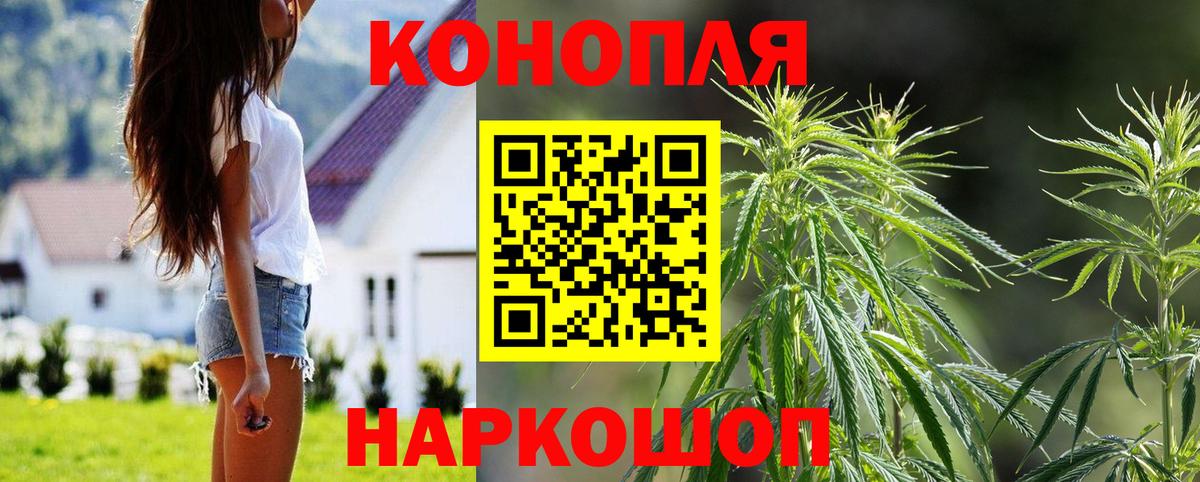 Конопля SATIVA & INDICA Лесозаводск